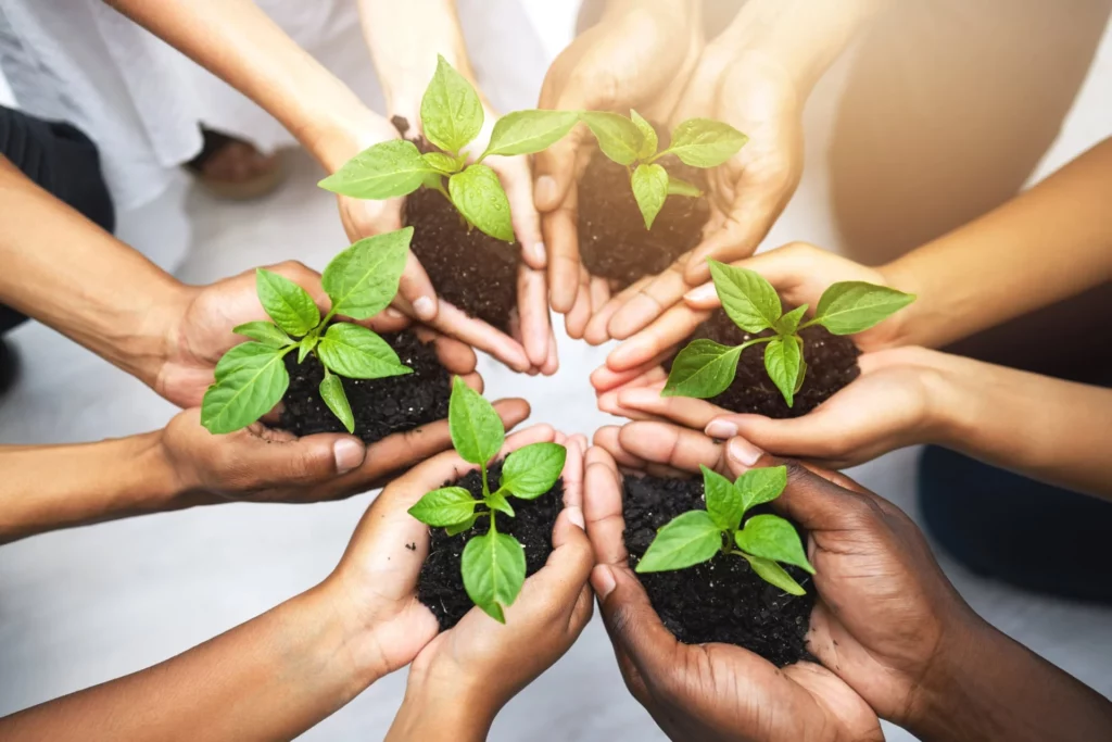 cropped-shot-of-a-group-and-plant